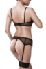 three-part Erotic Set by Grey Velvet