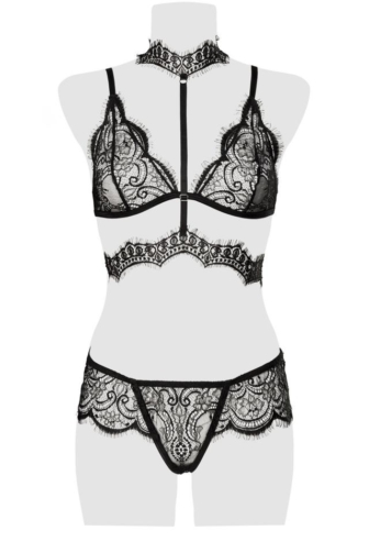 Bra set from Grey Velvet