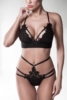 erotic set by Grey Velvet