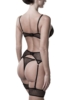 Erotic Set from Grey Velvet